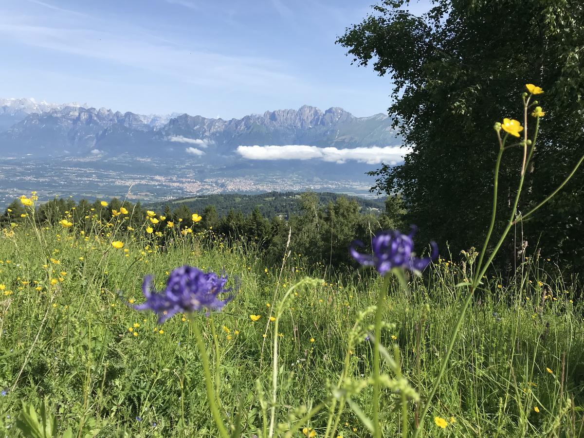 Albergo Slalom Belluno Buitenkant foto